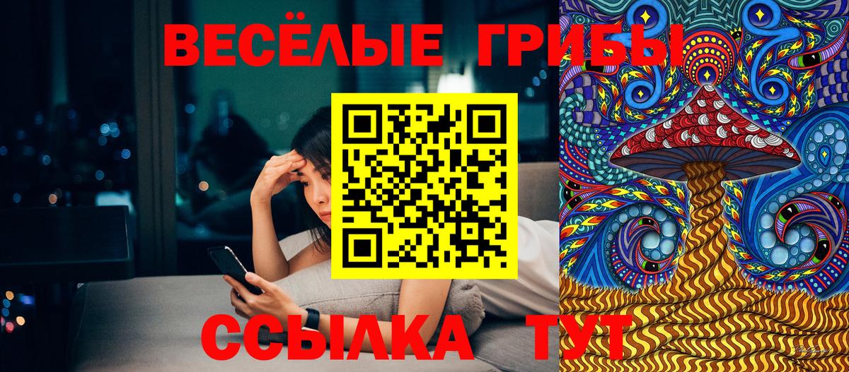 Псилоцибиновые грибы Psilocybine cubensis  Галлюциногенные грибы MAGIC MUSHROOMS  Вход с VPN  цены наркотик  Учалы 